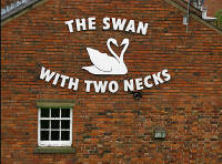 The Swan With Two Necks