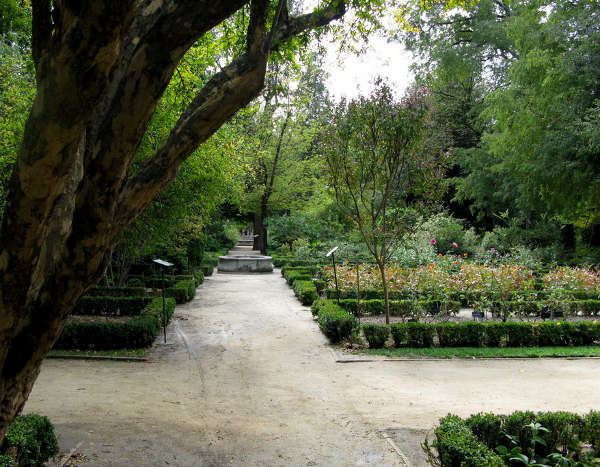 Ботанический сад в Мадриде
