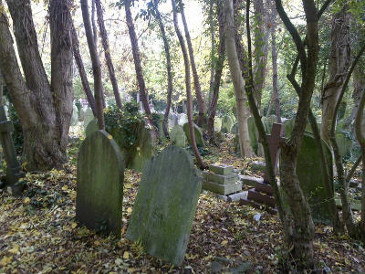 Хайгейтское кладбище